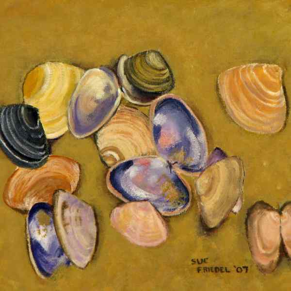 Cockle Shells