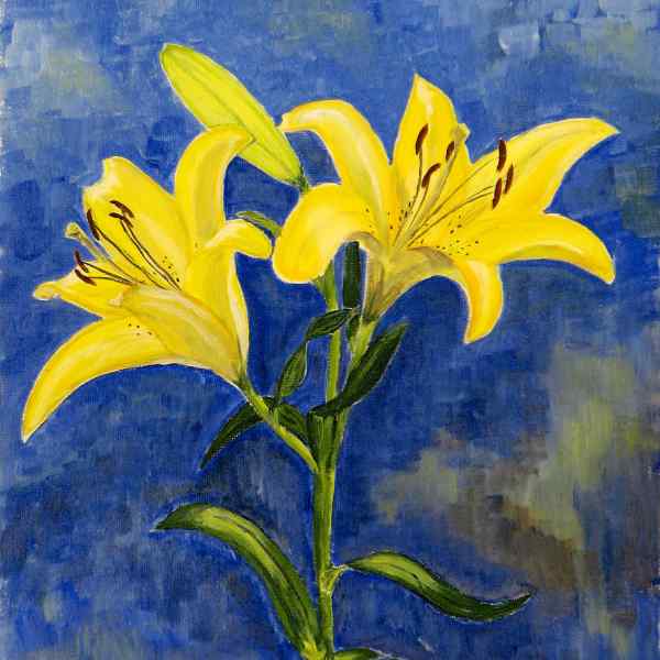 Lilliums (Yellow)