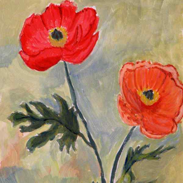 Poppies