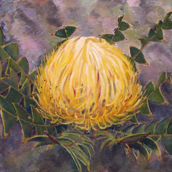 Banksia