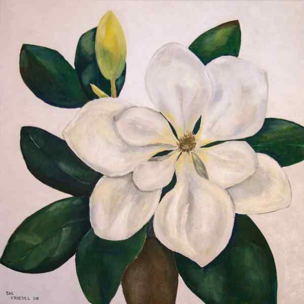 Magnolia