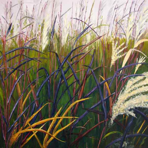 Grasses