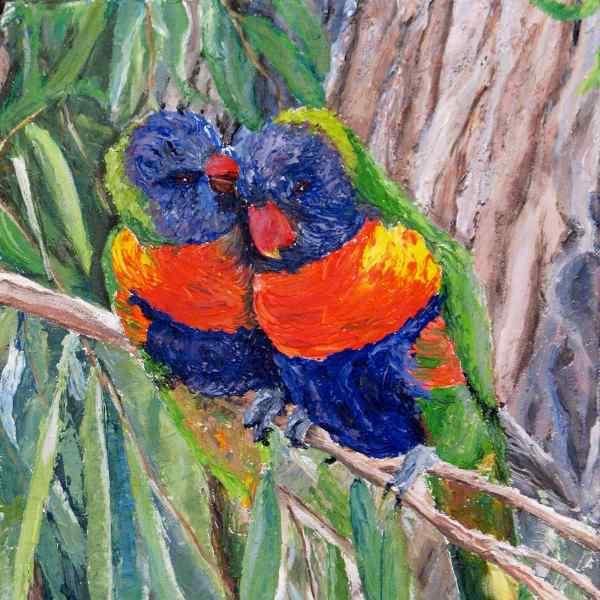 Rainbow Lorikeets