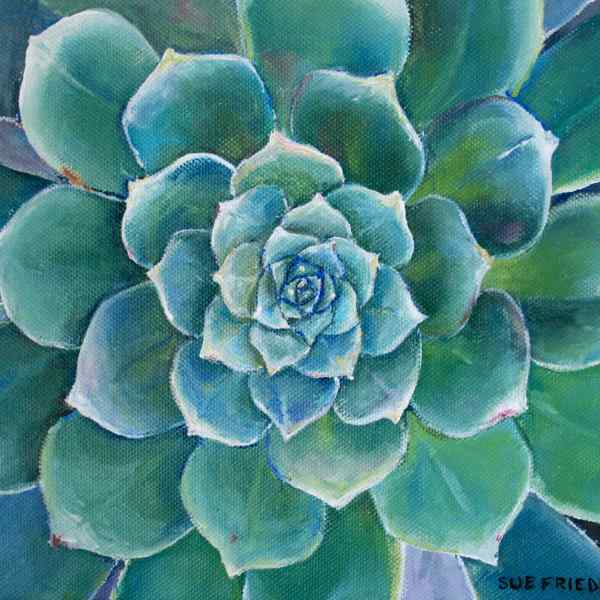Succulent Triptych (2 of 3)