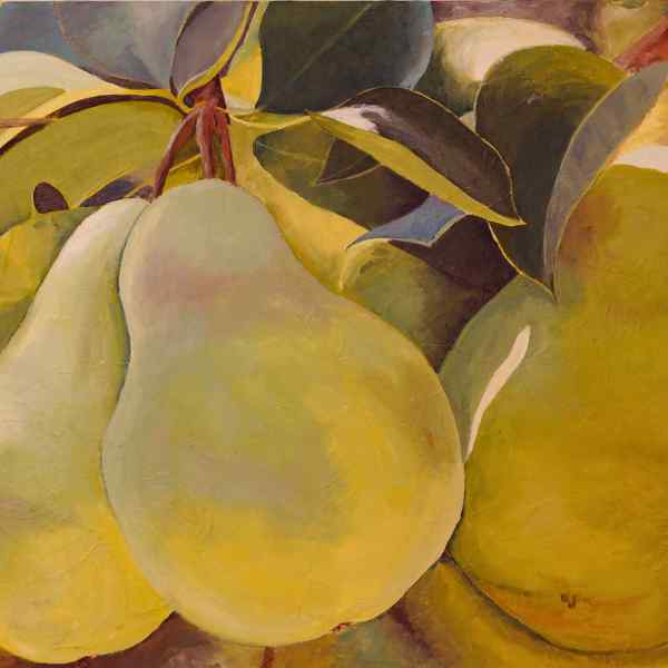 Pears