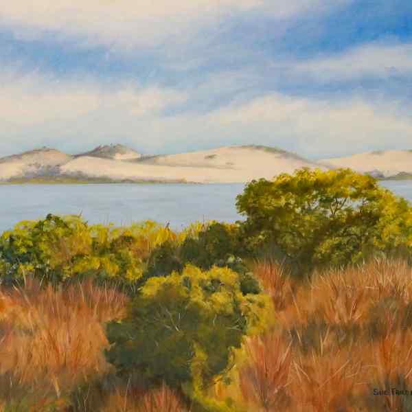 Coorong, South Australia