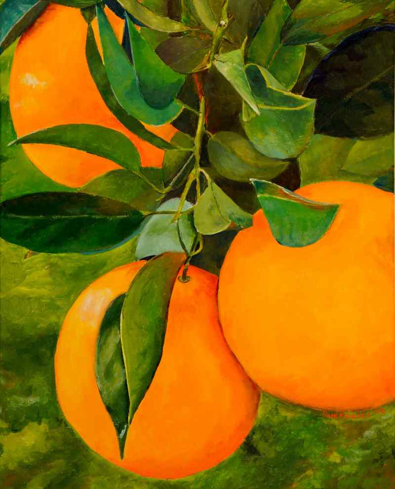 Oranges