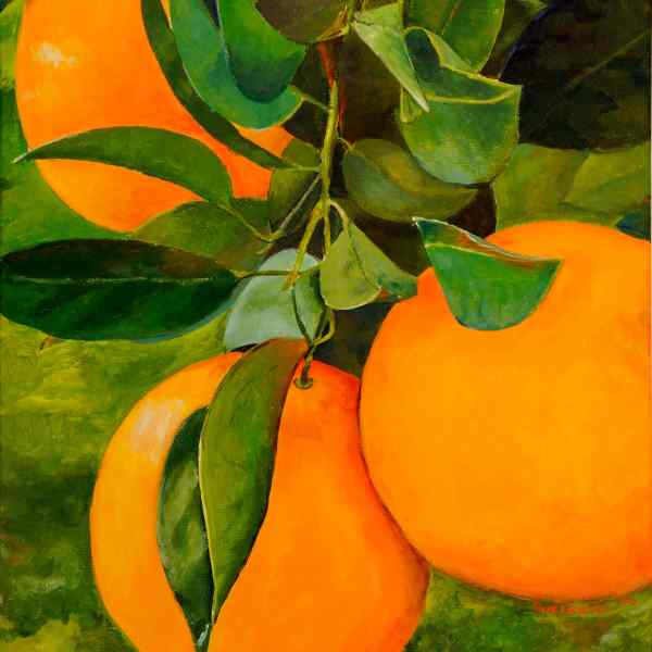 Oranges