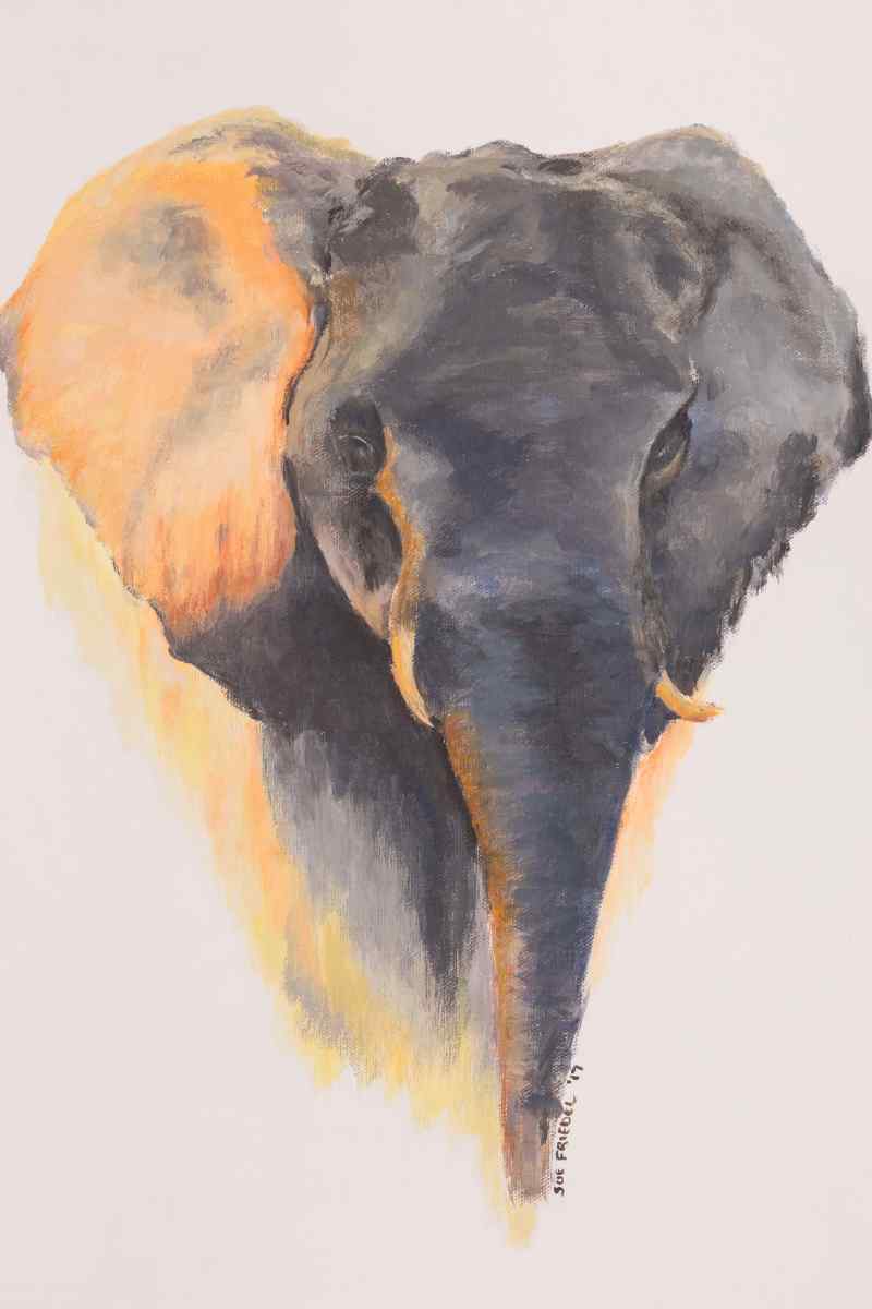 Elephant