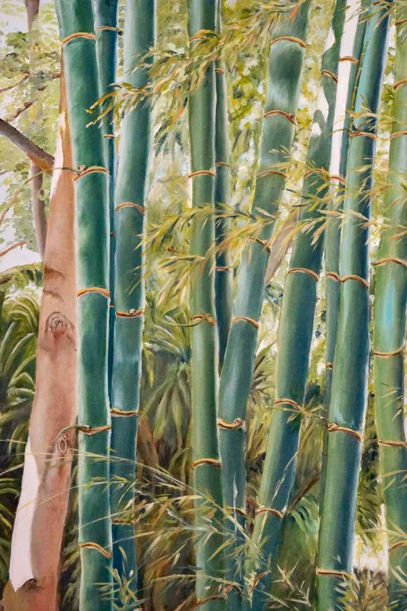 Stand of Bamboo