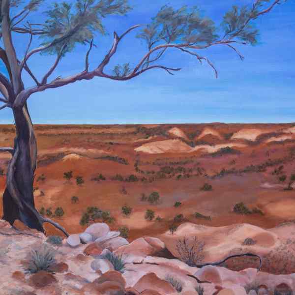 Breakaways, Far North South Australia